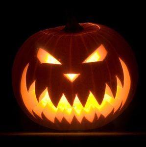 Meet your Posher, Brayden